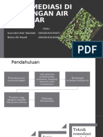 Presentasi Fitoremediasi Terhadap Bahan Pencemar Di Air (Aini Dan Rizka)