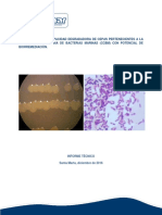 Evaluación de La Capacidad Degradadora de Cepas Pertenecientes A La Colección Colombiana de Bacterias Marinas (CCBM) Con Potencial de Biorremediación