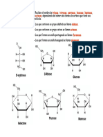 carbohidratos.pdf