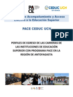 Perfiles de Egreso IES Antofagasta