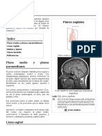 Plano Sagital