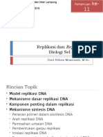 11.replikasi Dan Repair DNA