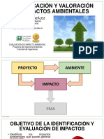 Identificación de Impactos PDF