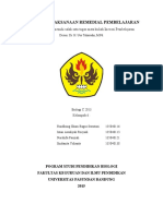 Rencana Pelaksanaan Remedial Pembelajara