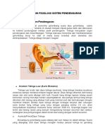 Anfis Sistem Pendengaran