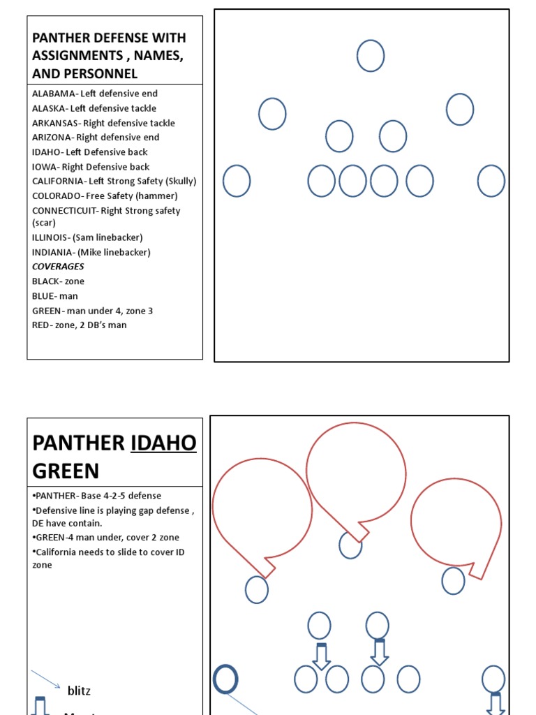Panther Defense Assignments Overview | PDF | Positions (Team Sports ...
