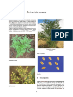 Artemisia Annua - Wikipedia-Es PDF