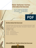 Infeksi Saluran Cerna: Enterobacteriaceae