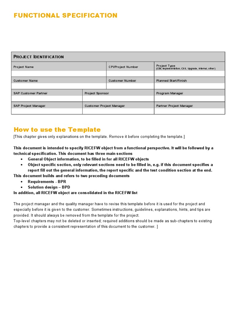 RICEFW Functional Specification Template | PDF | Specification ...