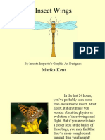 Insect Wings: Marika Kent