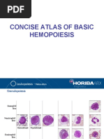A Colour Atlas of Haematological Cytology by Hayhoe, PG | PDF