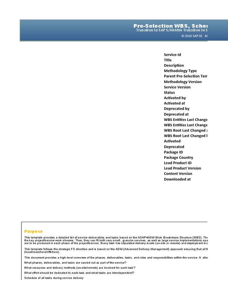 Project Plan En q1 Activity And Task Level V1 Sap Se Computing