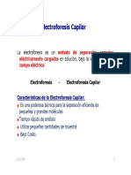 Electroforesis_Capilar_2011 (2).pdf