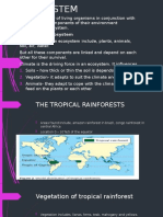 Climate and Ecosystem