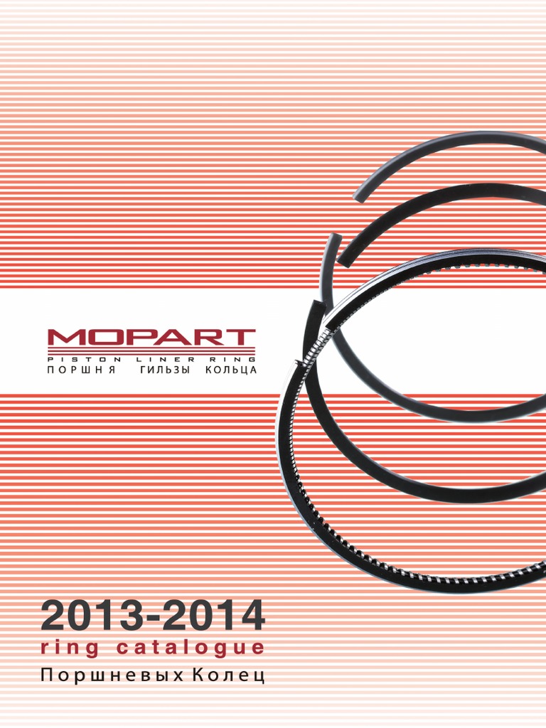 中村みつる Mopart Ring Cat 2013 2014 | PDF