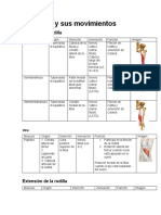 La Rodilla y Sus Movimientos Fichas