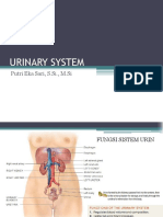 Sistem Urin PDF