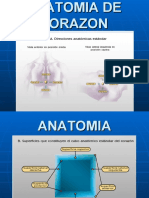 anatomia DEL CORAZON