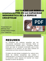 hamster presentacaion 1