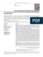 Oral Mucosa Harvest - An Overview of Anatomic and Biologic Considerations PDF