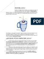 EL_PUNTO_TRIPLE_DEL_AGUA.docx