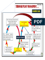 IRF Technology PDF