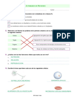 Refuerzo Células Solución PDF