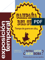 Campaña del sur.pdf