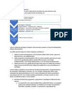 Proceso de Hematopoyesis