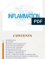 inflammation seminar (1)