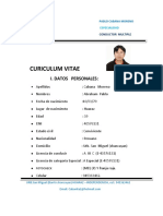 Curiculum Vitae Cabana PDF