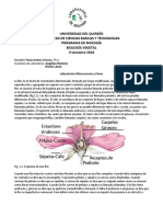 Guia - Angiospermas - Flor - 2018 PDF
