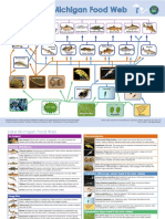 Lake Michigan Food Web: Sea Lamprey