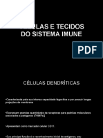 Clulasetecidos 131031144549 Phpapp01 PDF