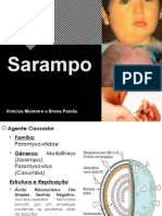 Sarampo 141206185236 Conversion Gate02 PDF