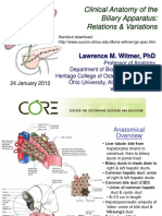 Clinical Anatomy of The Biliary Apparatus: Relations & Variations