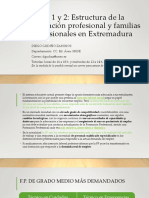 B1 Tema1-2 Formación-Profesional Familias-Profesionales