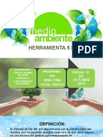 Diapositivas 5S Ambiental