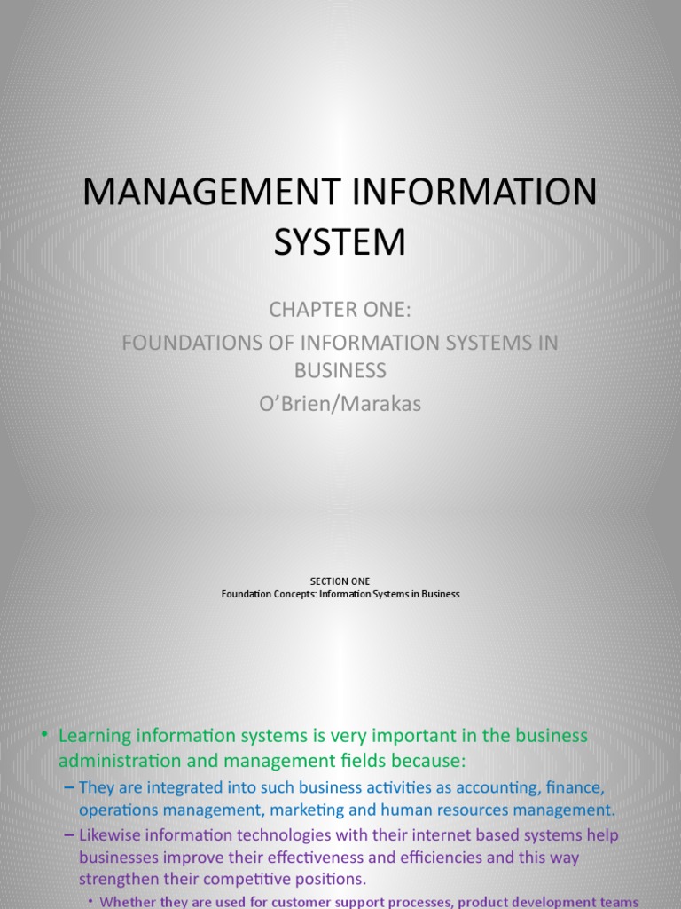 Foundations of Information Systems in Business | PDF | Information ...