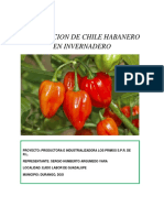 Produccion de Chile Habanero en Invernad PDF