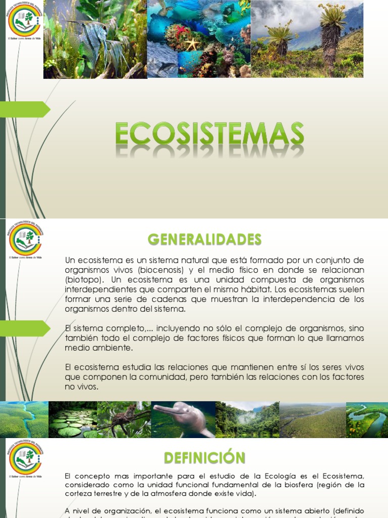 Definición y Tipos de Ecosistemas | PDF | Ecosistema | Ecología