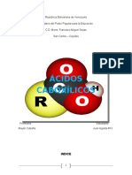 Informe Acidos Carboxilicos