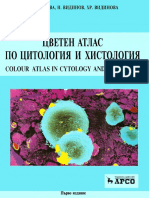 Цветен атлас по Цитология и Хистология - арсо - no print PDF
