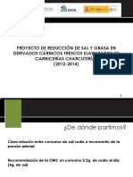 PRESENTACION RESUMEN PROYECTO sal + grasa