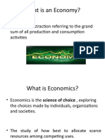 What Is An Economy?: - Simply An Abstraction Referring To The Grand Sum of All Production and Consumption Activities
