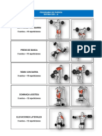 Programa de Fuerza - 1 PDF