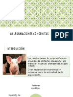 malformacionescongnitasencerdos-140918145100-phpapp01.pdf