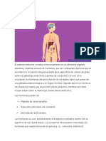 Sistema Endocrino y Cardiovascular