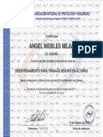 Angel Niebles Mejia PDF