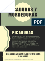 Picaduras y Mordeduras